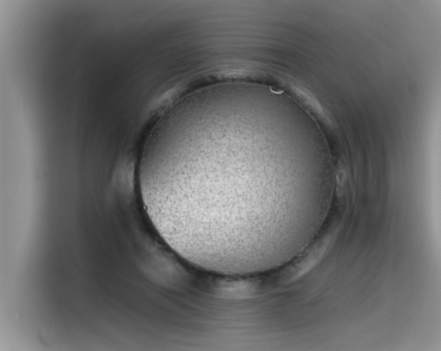 X0000115640454200911171426