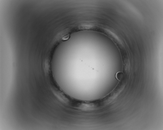 X0000115640455200911171426