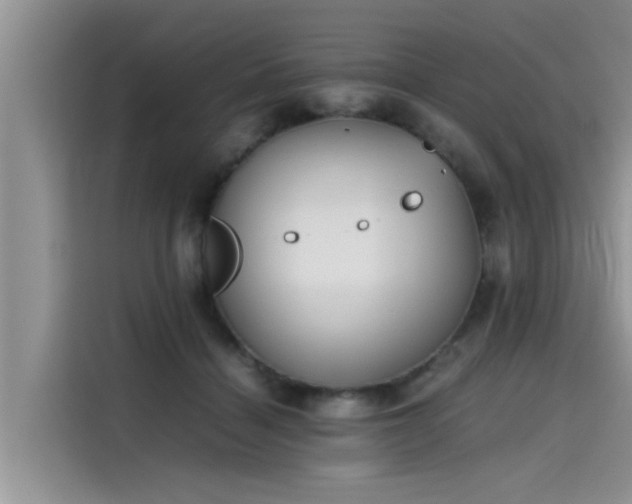 X0000115640460200911171426