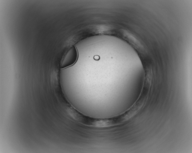 X0000115640461200911171426