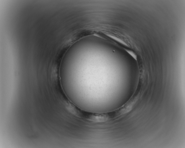 X0000115640466200911171426