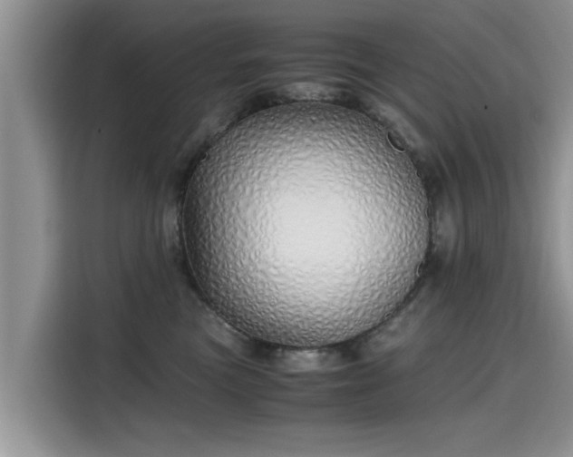 X0000115640473200911171426