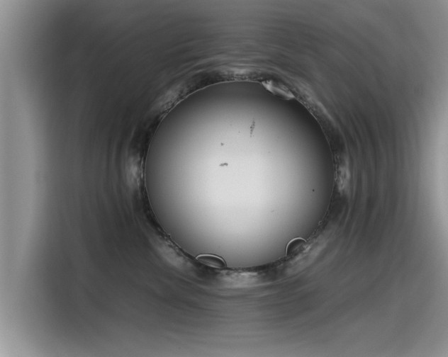 X0000115640476200911171426