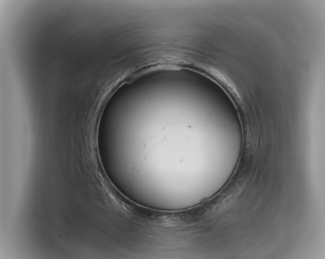 X0000115640481200911171425