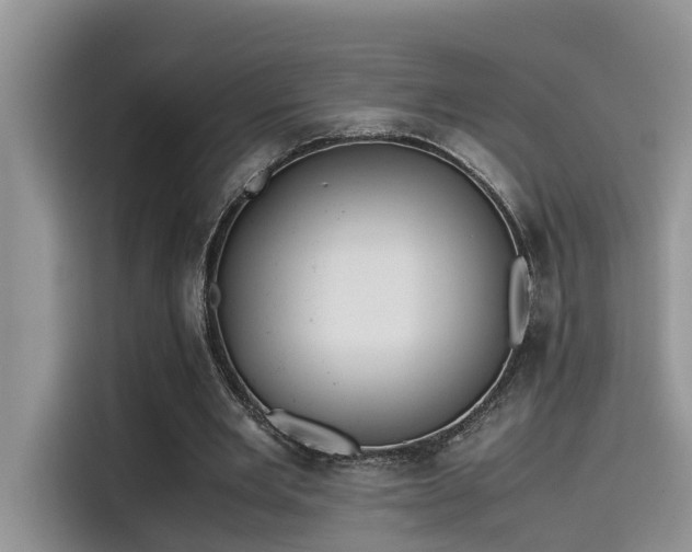 X0000115640485200911171425