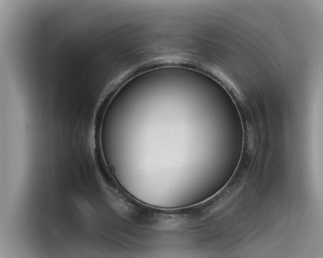 X0000115640486200911171425