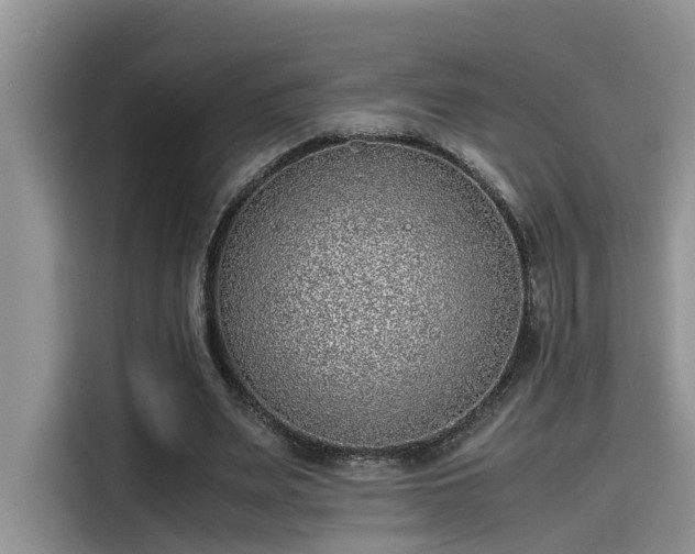 X0000115640487200911171425