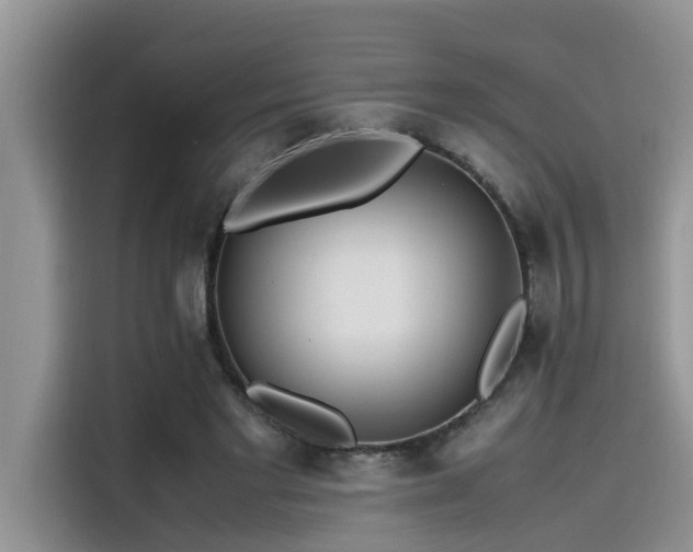 X0000115640493200911171425