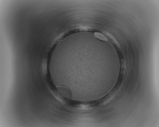 X0000115640496200911171425