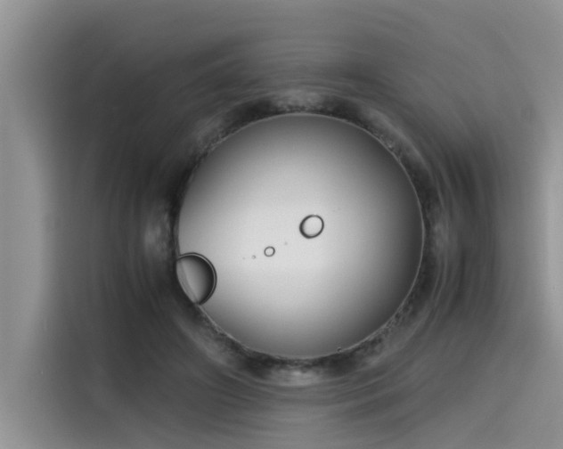 X0000115640498200911171425