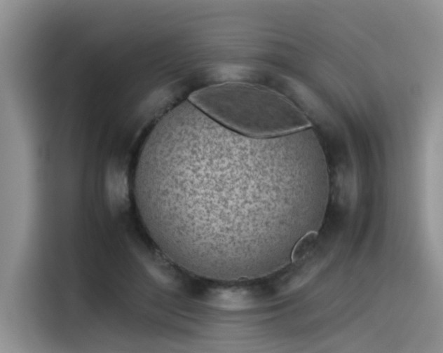 X0000115640500200911171425