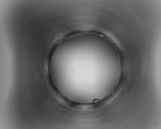 X0000115640501200911171425