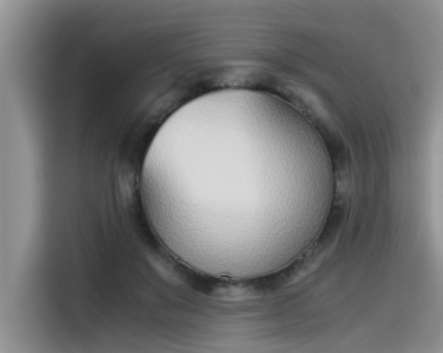 X0000115640503200911171425