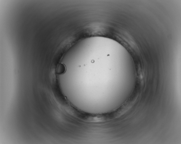 X0000115640506200911171425