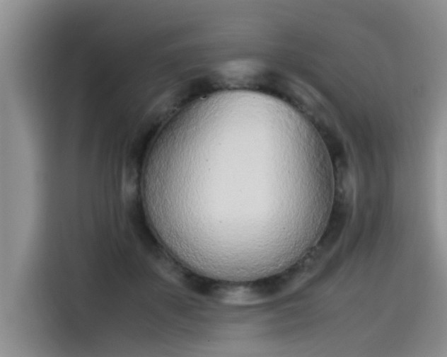 X0000115640507200911171425