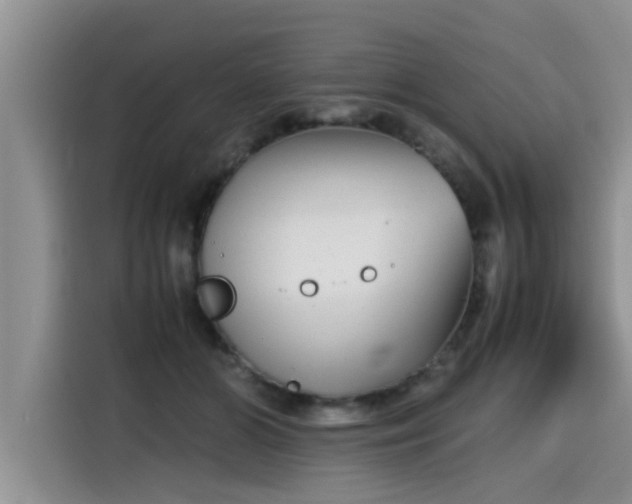 X0000115640510200911171425