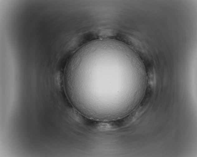 X0000115640519200911171425