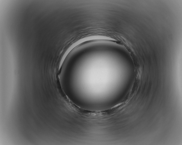 X0000115640524200911171425