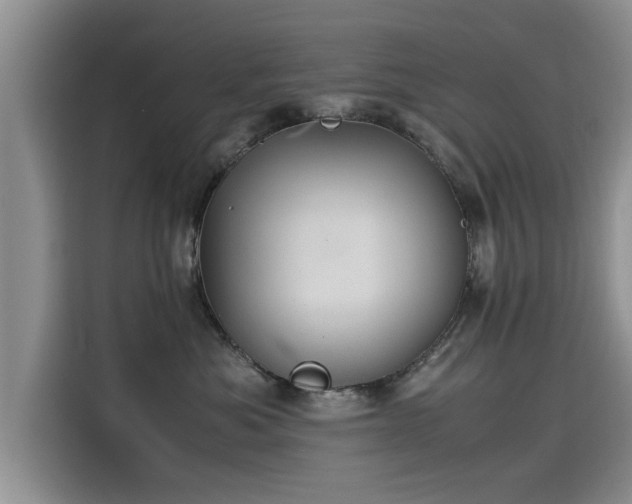 X0000115640525200911171425