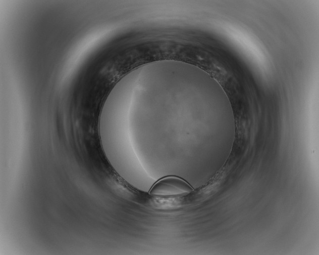 X0000115640526200911171425