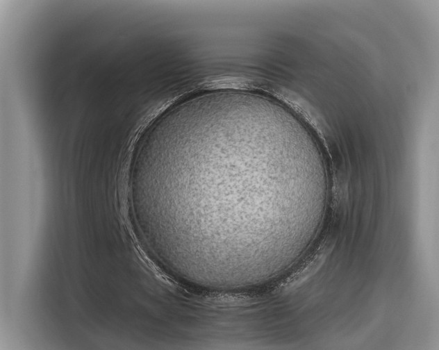 X0000115640529200911171424