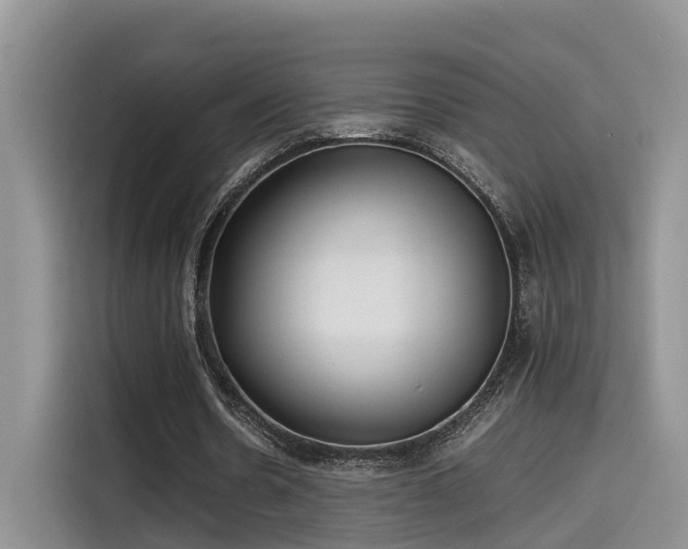 X0000115640530200911171424