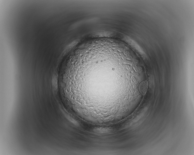 X0000115640537200911171424