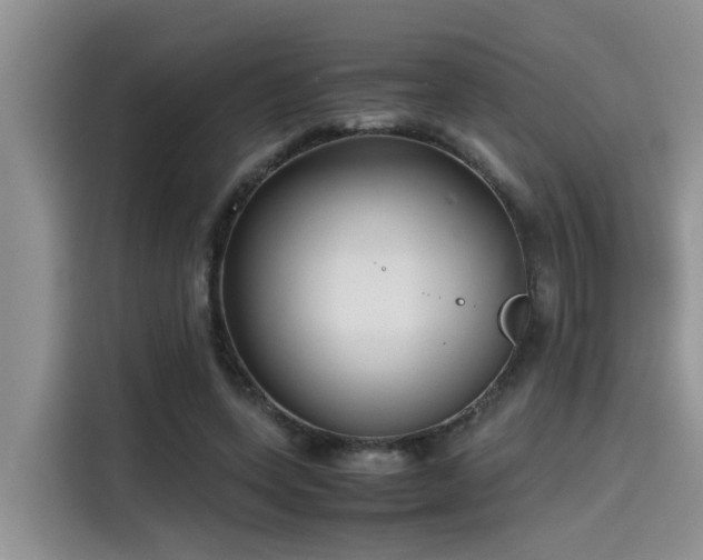 X0000115640543200911171424