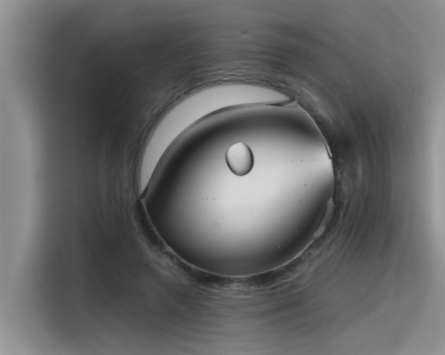 X0000115640546200911171424