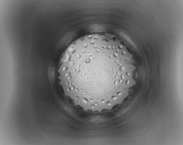 X0000115640549200911171424