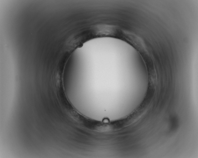 X0000115640551200911171424