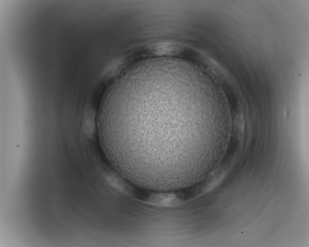 X0000115640554200911171424