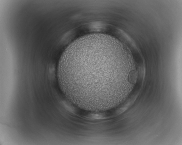 X0000115640557200911171424