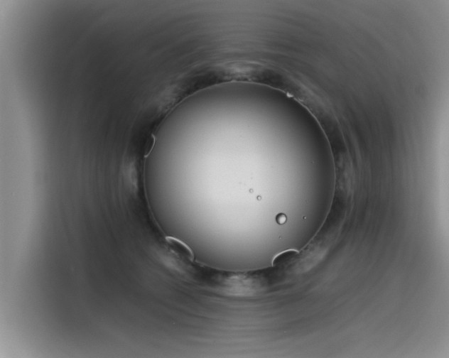 X0000115640562200911171425