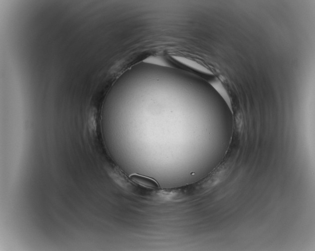 X0000115640570200911171425