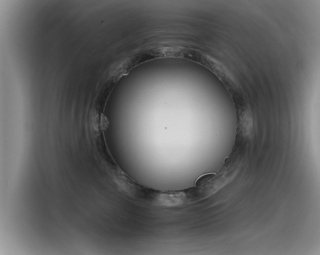 X0000115640571200911171425