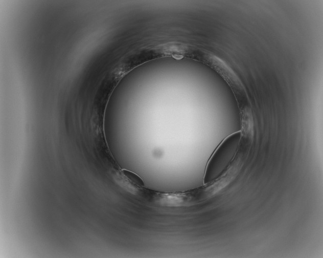 X0000115640573200911171425