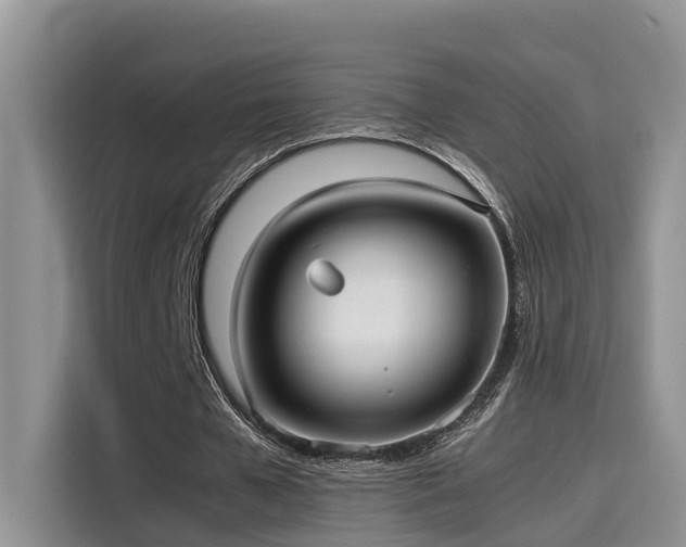 X0000115640577200911171424