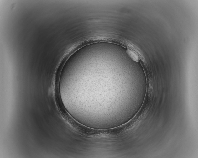 X0000115640578200911171424