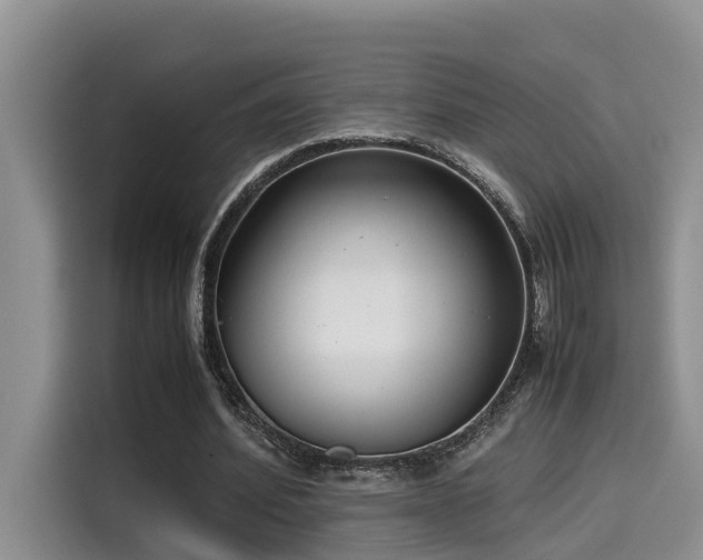 X0000115640580200911171424