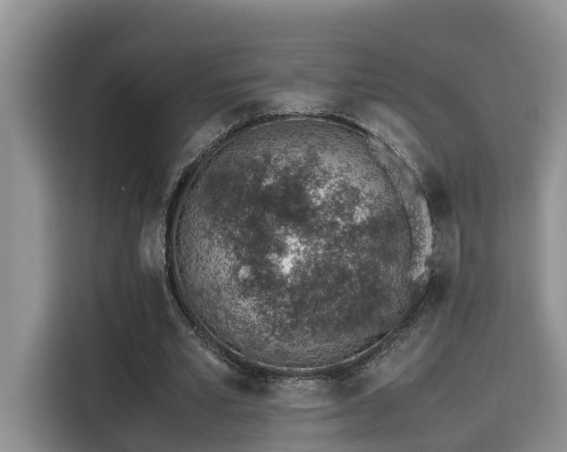 X0000115640581200911171424