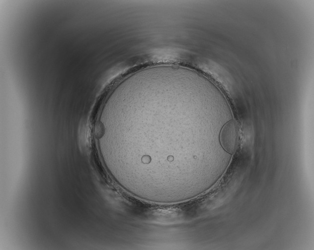 X0000115640583200911171424