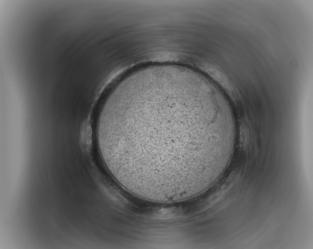 X0000115640584200911171424