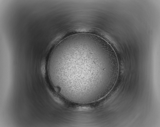 X0000115640586200911171424