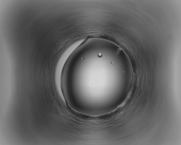 X0000115640595200911171424