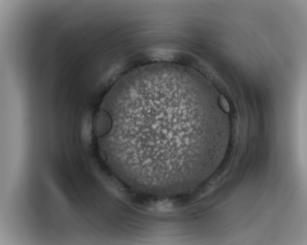 X0000115640600200911171424