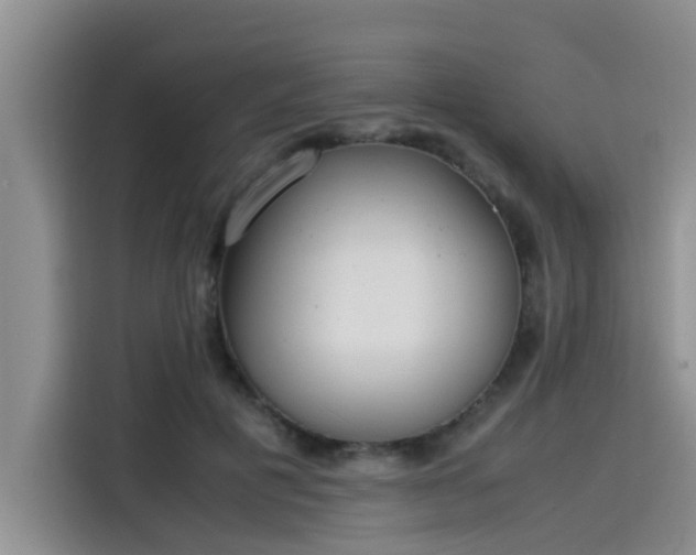 X0000115640601200911171424