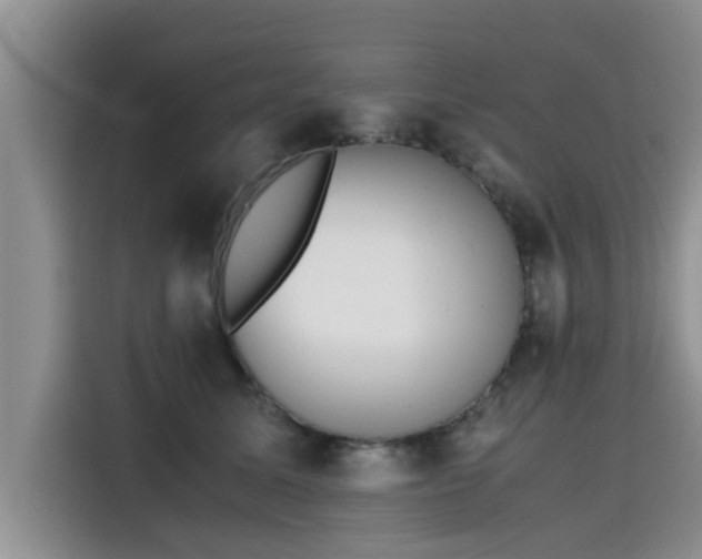 X0000115640611200911171424