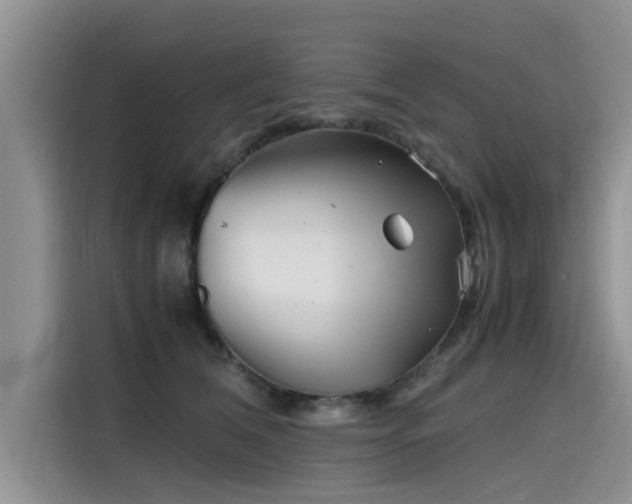 X0000115640612200911171424