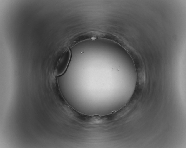 X0000115640613200911171424